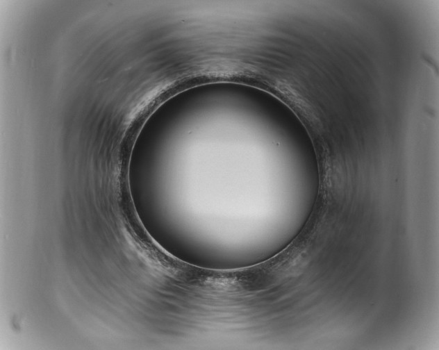X0000100850440200806201218