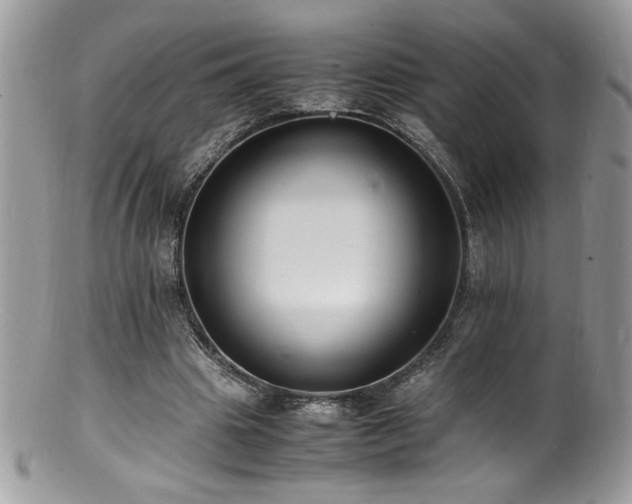X0000100850441200806201218