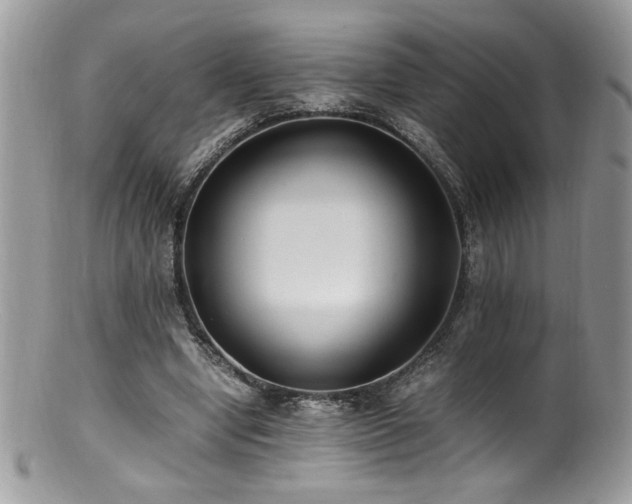 X0000100850442200806201218