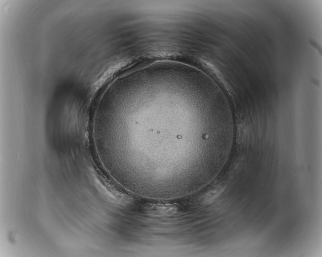 X0000100850443200806201218