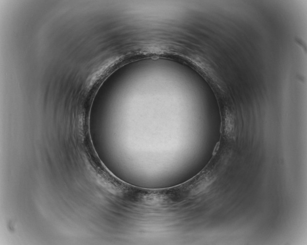 X0000100850444200806201218