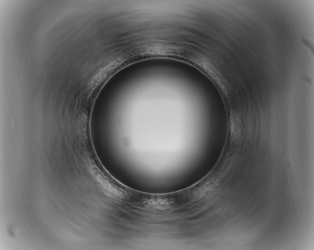 X0000100850445200806201218