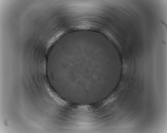 X0000100850446200806201218