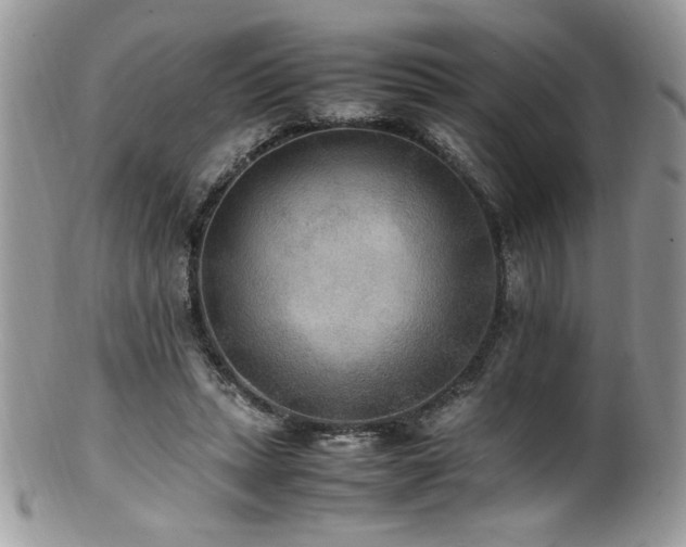 X0000100850447200806201218