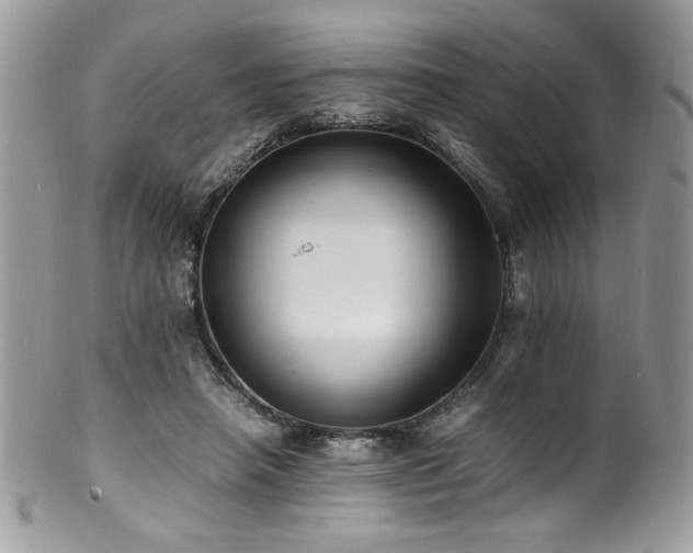 X0000100850450200806201218