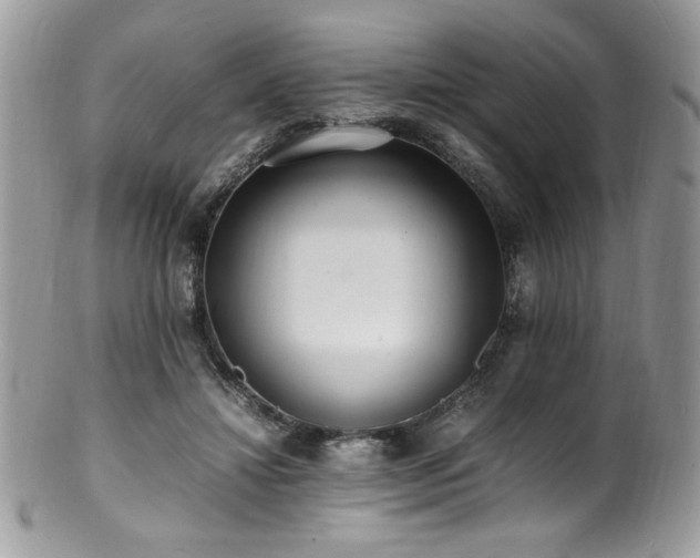 X0000100850452200806201218