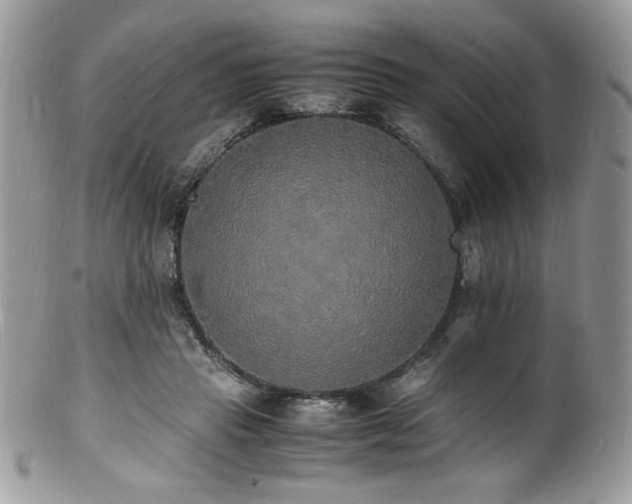 X0000100850453200806201218