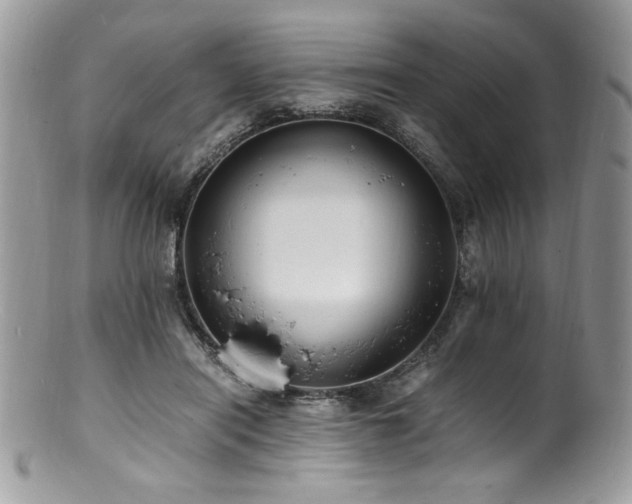 X0000100850454200806201218