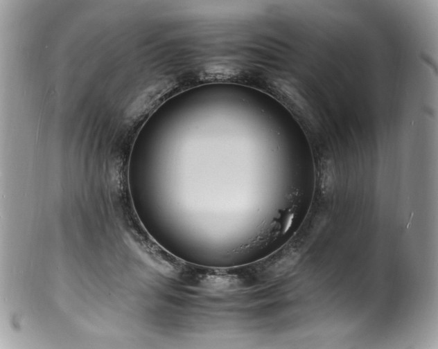 X0000100850455200806201218