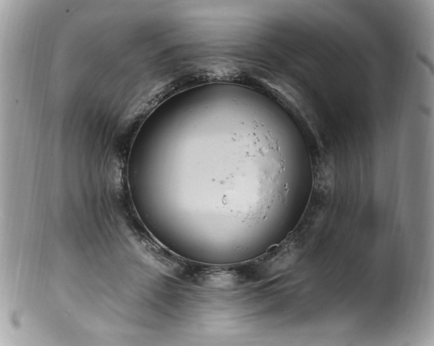 X0000100850456200806201218