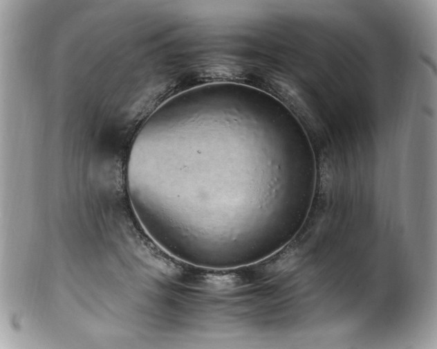 X0000100850457200806201218