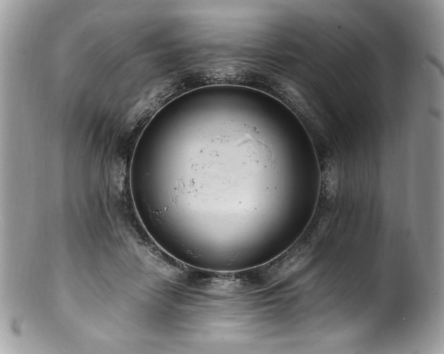 X0000100850458200806201218