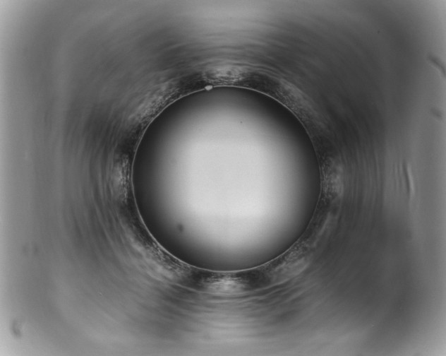 X0000100850460200806201218