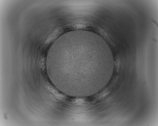 X0000100850462200806201218
