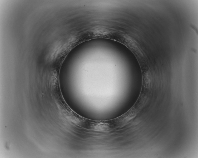 X0000100850463200806201218