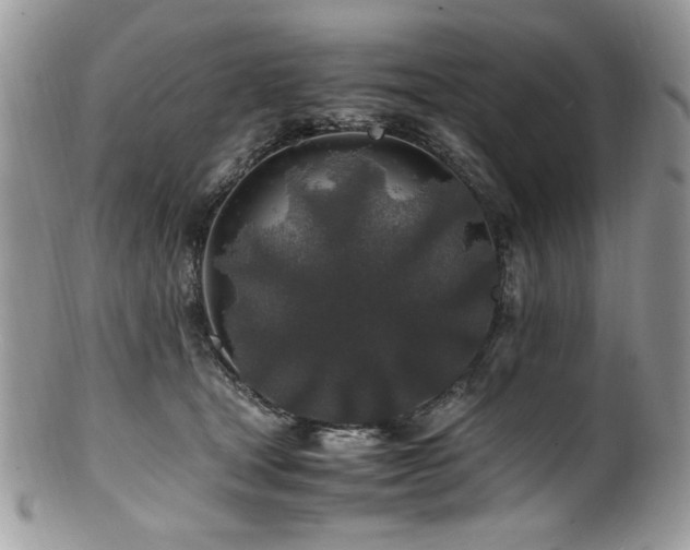 X0000100850465200806201218