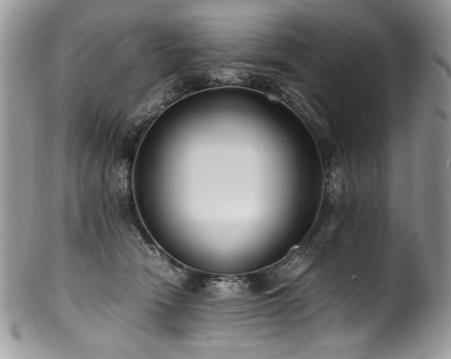 X0000100850466200806201218