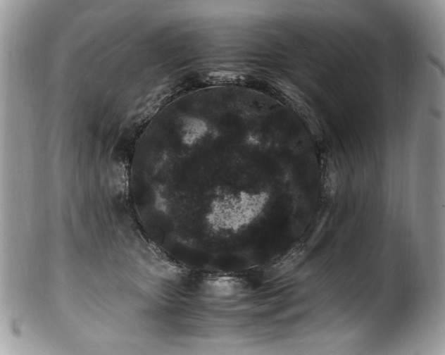 X0000100850467200806201218