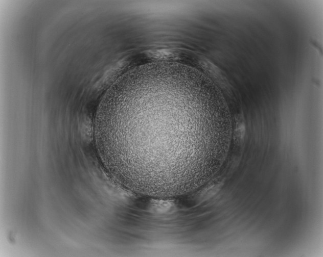 X0000100850469200806201218