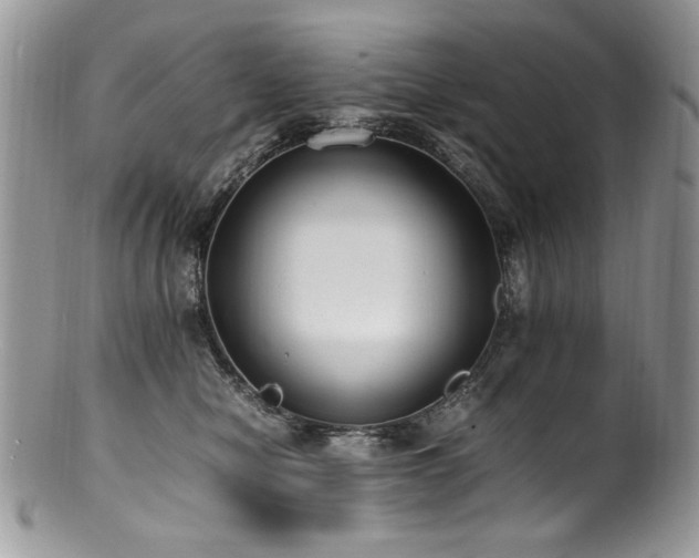 X0000100850470200806201218
