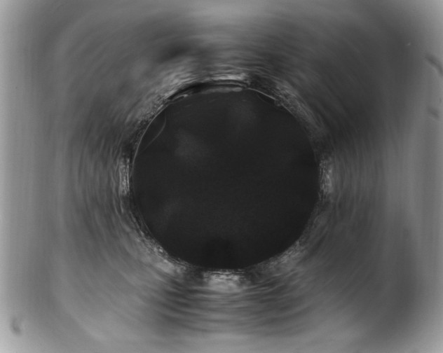 X0000100850471200806201218