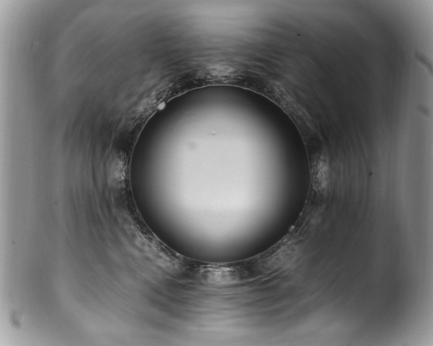 X0000100850472200806201218
