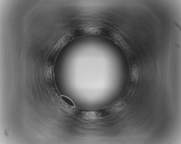 X0000100850473200806201218