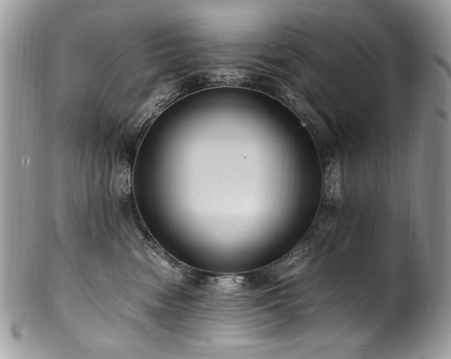 X0000100850474200806201219