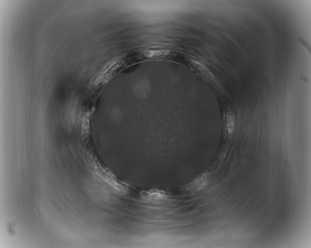 X0000100850475200806201219