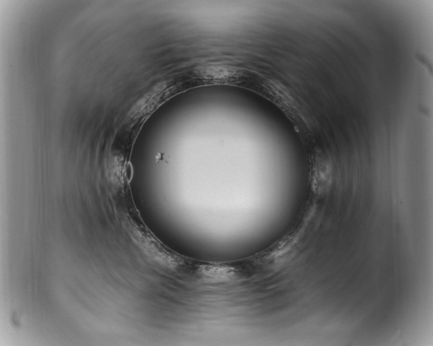 X0000100850476200806201219