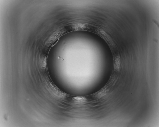 X0000100850477200806201219