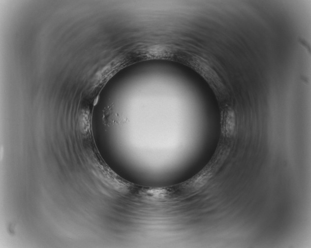 X0000100850478200806201219