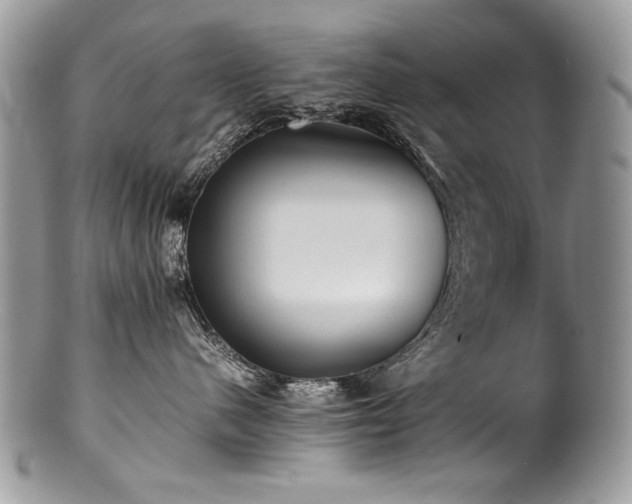 X0000100850480200806201219
