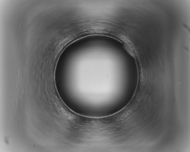 X0000100850481200806201218