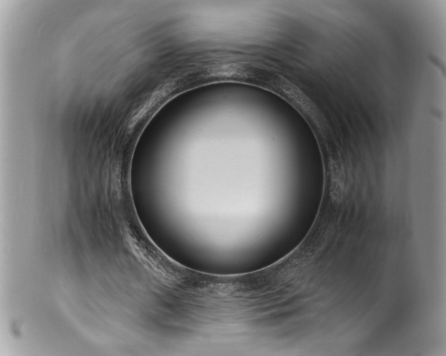 X0000100850482200806201218