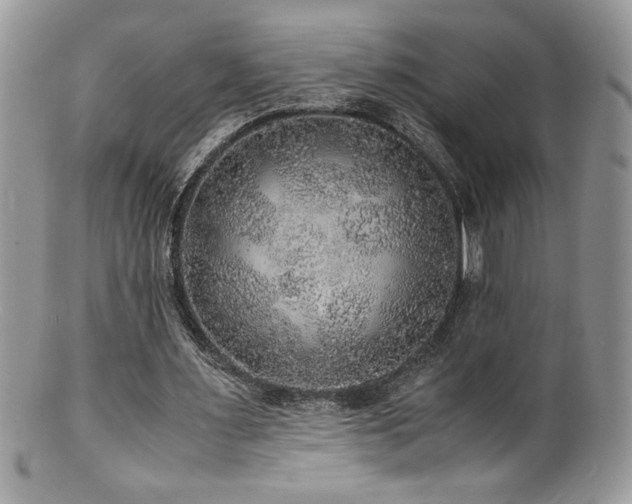 X0000100850483200806201218