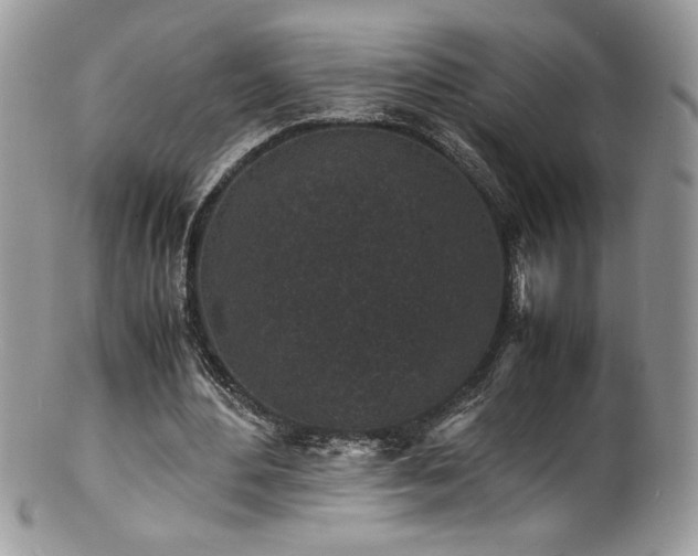 X0000100850484200806201218