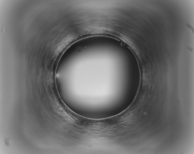 X0000100850485200806201218