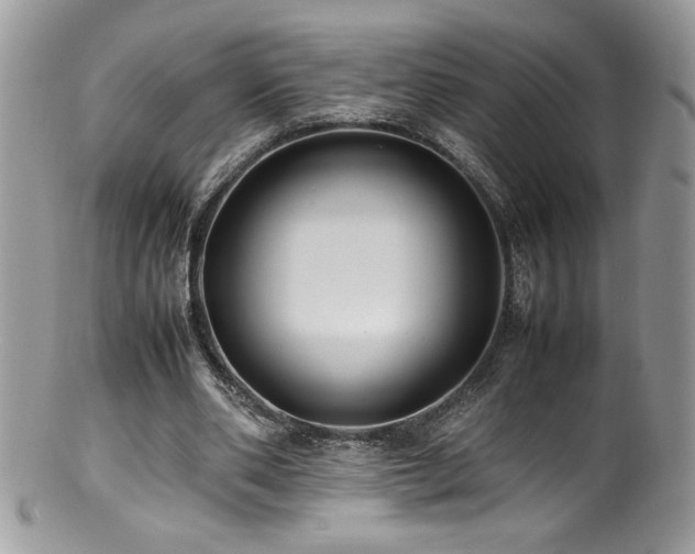 X0000100850486200806201218
