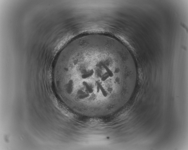 X0000100850487200806201218