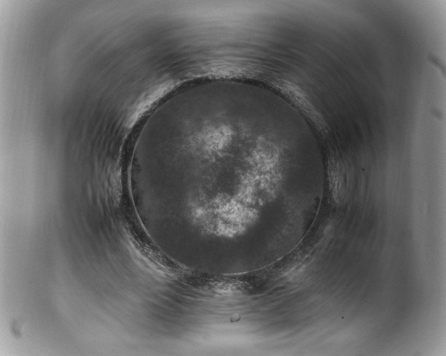 X0000100850488200806201218