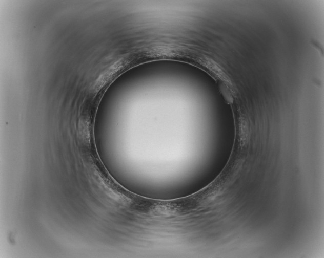 X0000100850489200806201218