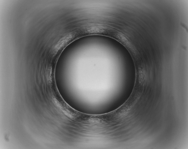 X0000100850490200806201218