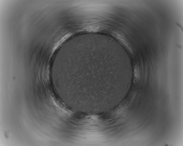 X0000100850492200806201218