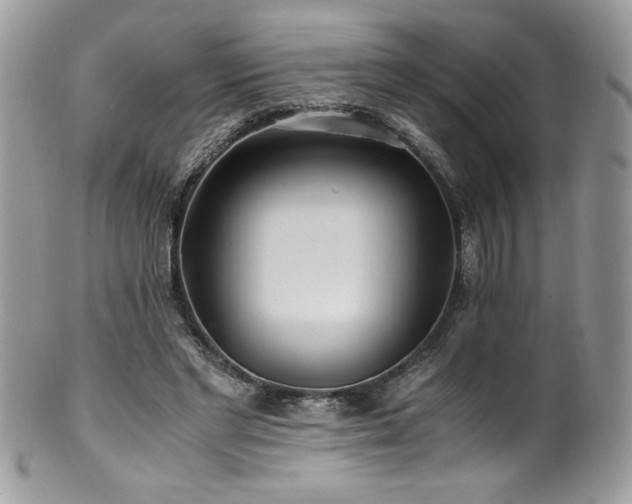 X0000100850493200806201218