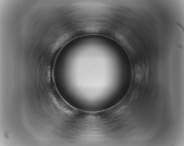 X0000100850494200806201218