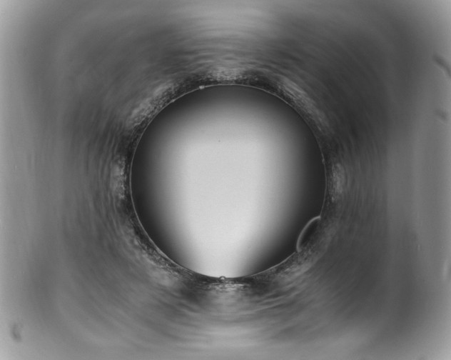 X0000100850497200806201217