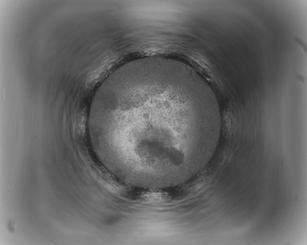 X0000100850499200806201217