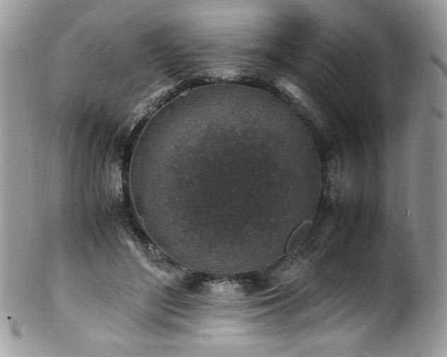X0000100850500200806201217