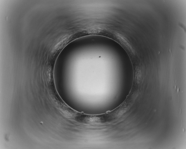 X0000100850501200806201217